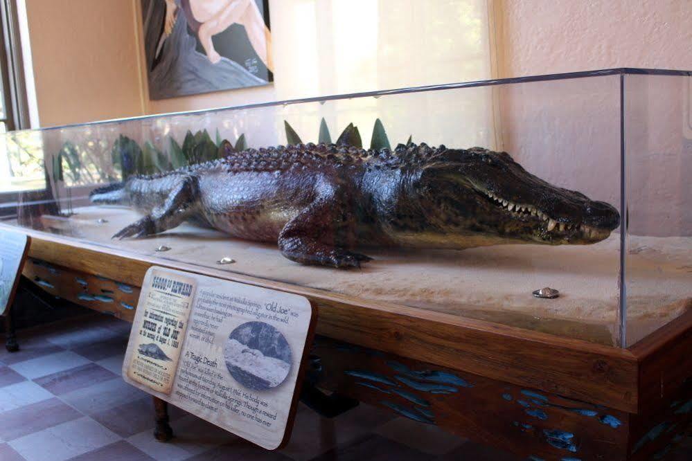The Lodge At Wakulla Springs Crawfordville Buitenkant foto